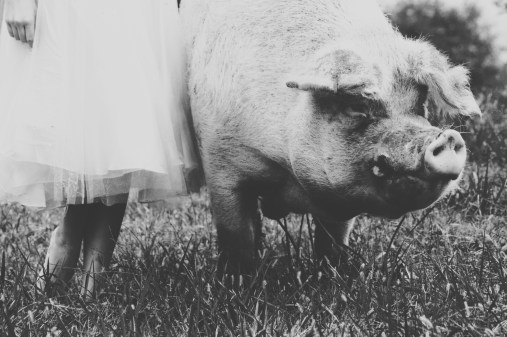 Processed with VSCO with x1 preset